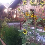 Cozy In Matas With Pool And Jacuzzi * Mata (Fornos de Algodres)