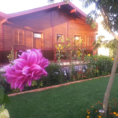 Apartman Cozy In Matas With Pool And Jacuzzi Mata