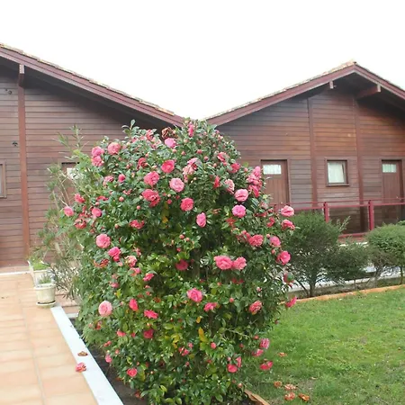 Apartman Cozy In Matas With Pool And Jacuzzi Mata